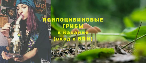 прущие крисы Верхний Тагил